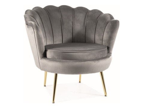FOTEL CAMELLIA 1 VELVET SZARY BLUVEL 14/ZŁOTY FOTEL CAMELLIA 1 VELVET SZARY BLUVEL 14/ZŁOTY