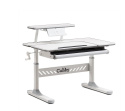 Biurko Fun Desk Tulipa Grey Regulowane biurko z nadstawką dla dzieci i młodzieży , pochylany blat Biały / Szary Biurko Fun Desk Tulipa Grey Regulowane biurko z nadstawką dla dzieci i młodzieży , pochylany blat Biały / Szary