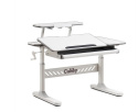 Biurko Fun Desk Tulipa Grey Regulowane biurko z nadstawką dla dzieci i młodzieży , pochylany blat Biały / Szary Biurko Fun Desk Tulipa Grey Regulowane biurko z nadstawką dla dzieci i młodzieży , pochylany blat Biały / Szary