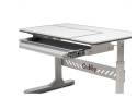 Biurko Fun Desk Tulipa Grey Regulowane biurko z nadstawką dla dzieci i młodzieży , pochylany blat Biały / Szary Biurko Fun Desk Tulipa Grey Regulowane biurko z nadstawką dla dzieci i młodzieży , pochylany blat Biały / Szary