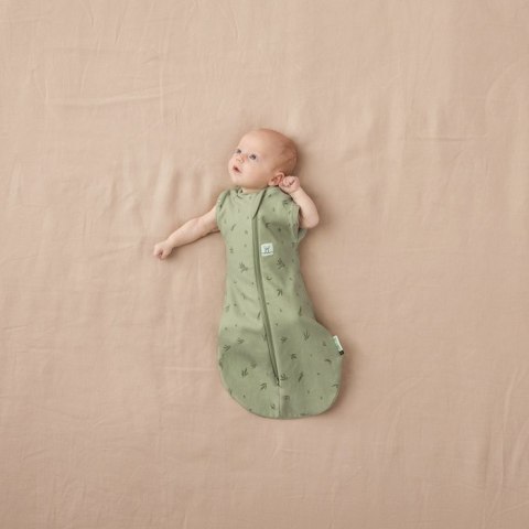 ErgoPouch ErgoPouch Otulacz Śpiworek 0-3M 1.0TOG Willow ErgoPouch ErgoPouch Otulacz Śpiworek 0-3M 1.0TOG Willow