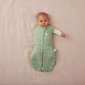ErgoPouch ErgoPouch Otulacz Śpiworek 3-6M 2.5TOG Willow ErgoPouch ErgoPouch Otulacz Śpiworek 3-6M 2.5TOG Willow