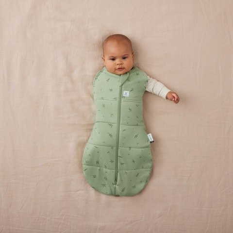 ErgoPouch ErgoPouch Otulacz Śpiworek 3-6M 2.5TOG Willow ErgoPouch ErgoPouch Otulacz Śpiworek 3-6M 2.5TOG Willow