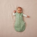 ErgoPouch ErgoPouch Otulacz Śpiworek 3-6M 2.5TOG Willow ErgoPouch ErgoPouch Otulacz Śpiworek 3-6M 2.5TOG Willow