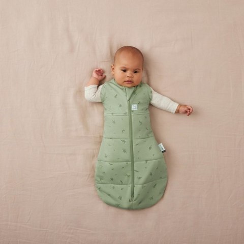 ErgoPouch ErgoPouch Otulacz Śpiworek 3-6M 2.5TOG Willow ErgoPouch ErgoPouch Otulacz Śpiworek 3-6M 2.5TOG Willow