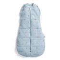 ErgoPouch ErgoPouch Otulacz Śpiworek 6-12M 2.5TOG Dragonflies ErgoPouch ErgoPouch Otulacz Śpiworek 6-12M 2.5TOG Dragonflies