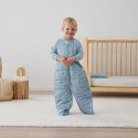ErgoPouch ErgoPouch Śpiworek Kombinezon 8-24M 2.5TOG Dragonflies