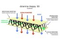 Materac piankowy Hevea Happy Baby 140x70 (Happy 3D) Materac piankowy Hevea Happy Baby 140x70 (Happy 3D)