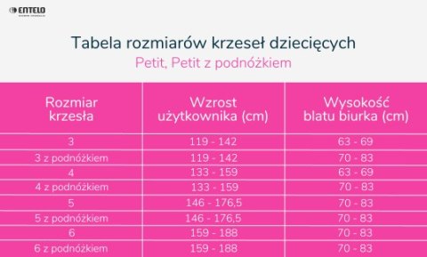 Entelo Krzesło młodzieżowe Petit szary Visto 01 rozmiar 5 WK+P Entelo Krzesło młodzieżowe Petit szary Visto 01 rozmiar 5 WK+P