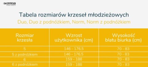 Entelo Krzesło młodzieżowe Norm czarny Jasmine 06 rozmiar 5 Entelo Krzesło młodzieżowe Norm czarny Jasmine 06 rozmiar 5