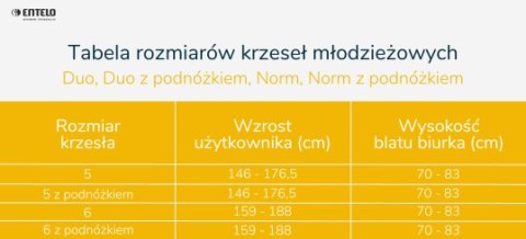 Entelo Krzesło młodzieżowe Norm czarny Jasmine 08 rozmiar 5 Entelo Krzesło młodzieżowe Norm czarny Jasmine 08 rozmiar 5