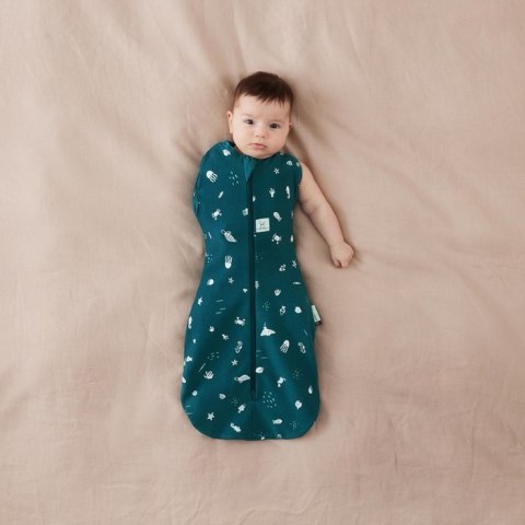 ErgoPouch ErgoPouch Otulacz Śpiworek 6-12M 1.0TOG Ocean ErgoPouch ErgoPouch Otulacz Śpiworek 6-12M 1.0TOG Ocean