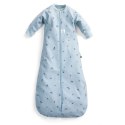 ErgoPouch ErgoPouch Śpiworek Jersey Długi Rękaw 8-24M 1.0TOG Dragonflies ErgoPouch ErgoPouch Śpiworek Jersey Długi Rękaw 8-24M 1.0TOG Dragonflies