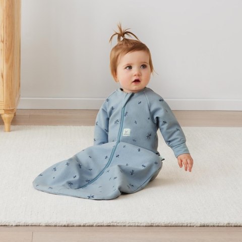 ErgoPouch ErgoPouch Śpiworek Jersey Długi Rękaw 8-24M 1.0TOG Dragonflies ErgoPouch ErgoPouch Śpiworek Jersey Długi Rękaw 8-24M 1.0TOG Dragonflies