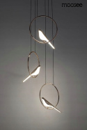 LAMPA WISZĄCA BIRD DISC LED metal ZŁOTA akryl BIAŁY podsufitka CZARNA Moosee MOOSEE do domu i do lokalu LAMPA WISZĄCA BIRD DISC LED metal ZŁOTA akryl BIAŁY podsufitka CZARNA Moosee MOOSEE do domu i do lokalu