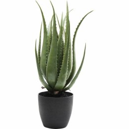 Kare Design KARE roślina dekoracyjna ALOE 69 cm