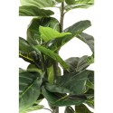 Kare Design KARE roślina dekoracyjna FIDDLE LEAF 120 cm Kare Design KARE roślina dekoracyjna FIDDLE LEAF 120 cm