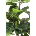 Kare Design KARE roślina dekoracyjna FIDDLE LEAF 120 cm