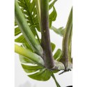 Kare Design KARE roślina dekoracyjna MONSTERA 110 cm Kare Design KARE roślina dekoracyjna MONSTERA 110 cm