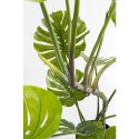Kare Design KARE roślina dekoracyjna MONSTERA 110 cm Kare Design KARE roślina dekoracyjna MONSTERA 110 cm