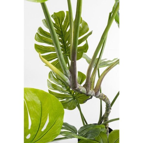 Kare Design KARE roślina dekoracyjna MONSTERA 110 cm Kare Design KARE roślina dekoracyjna MONSTERA 110 cm