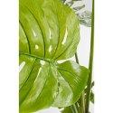 Kare Design KARE roślina dekoracyjna MONSTERA 110 cm Kare Design KARE roślina dekoracyjna MONSTERA 110 cm