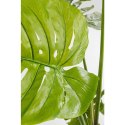 Kare Design KARE roślina dekoracyjna MONSTERA 110 cm