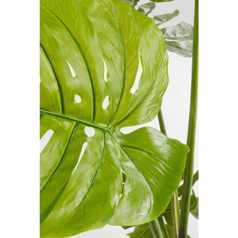Kare Design KARE roślina dekoracyjna MONSTERA 110 cm Kare Design KARE roślina dekoracyjna MONSTERA 110 cm