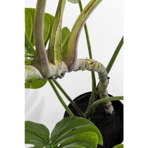 Kare Design KARE roślina dekoracyjna MONSTERA 110 cm Kare Design KARE roślina dekoracyjna MONSTERA 110 cm