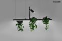 LAMPA WISZĄCA LED PLANT LINE Moosee MOOSEE CZARNA METAL POŁĄCZENIE KWIETNIKA Z OŚWIETLENIEM LAMPKA Z MOŻLIWOŚCIĄ REGULACJI LAMPA WISZĄCA LED PLANT LINE Moosee MOOSEE CZARNA METAL POŁĄCZENIE KWIETNIKA Z OŚWIETLENIEM LAMPKA Z MOŻLIWOŚCIĄ REGULACJI