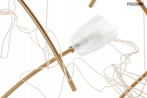 LAMPA WISZĄCA TULIPPE 7 DISC ZŁOTA stal 7xG4 Moosee MOOSEE KLOSZE AKRYL PRZEZROCZYSTY DO SALONU JADALNI LOKALU LAMPA WISZĄCA TULIPPE 7 DISC ZŁOTA stal 7xG4 Moosee MOOSEE KLOSZE AKRYL PRZEZROCZYSTY DO SALONU JADALNI LOKALU