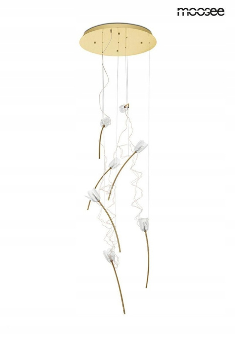 LAMPA WISZĄCA TULIPPE 7 DISC ZŁOTA stal 7xG4 Moosee MOOSEE KLOSZE AKRYL PRZEZROCZYSTY DO SALONU JADALNI LOKALU LAMPA WISZĄCA TULIPPE 7 DISC ZŁOTA stal 7xG4 Moosee MOOSEE KLOSZE AKRYL PRZEZROCZYSTY DO SALONU JADALNI LOKALU