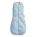 ErgoPouch ErgoPouch Śpiworek Jersey 3-12M 0.2TOG Dragonflies ErgoPouch ErgoPouch Śpiworek Jersey 3-12M 0.2TOG Dragonflies