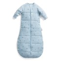 ErgoPouch ErgoPouch Śpiworek Jersey z Rękawami 8-24M 3.5TOG Dragonflies ErgoPouch ErgoPouch Śpiworek Jersey z Rękawami 8-24M 3.5TOG Dragonflies