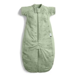 ErgoPouch ErgoPouch Śpiworek Kombinezon 2-4L 1.0TOG Willow
