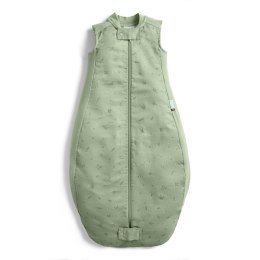 ErgoPouch ErgoPouch Śpiworek do spania 2-4L 1.0TOG Willow