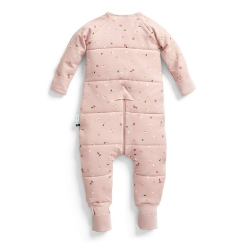 ErgoPouch ErgoPouch Śpiworek z nogawkami 12-24M 2.5TOG Daisies ErgoPouch ErgoPouch Śpiworek z nogawkami 12-24M 2.5TOG Daisies