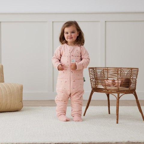 ErgoPouch ErgoPouch Śpiworek z nogawkami 12-24M 2.5TOG Daisies ErgoPouch ErgoPouch Śpiworek z nogawkami 12-24M 2.5TOG Daisies