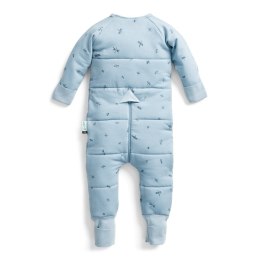 ErgoPouch ErgoPouch Śpiworek z nogawkami 12-24M 2.5TOG Dragonflies