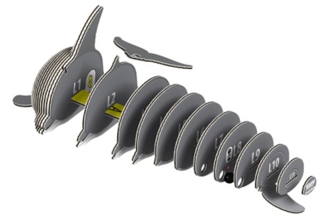 Eugy Eugy Układanka Eko 3D Delfin Eugy Eugy Układanka Eko 3D Delfin