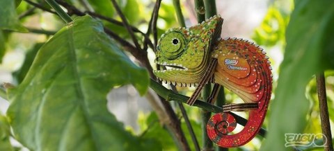 Eugy Eugy Układanka Eko 3D Kameleon Eugy Eugy Układanka Eko 3D Kameleon