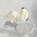Oli & Carol Oli & Carol Zabawka do Kąpieli Ice Animals Miś Oli & Carol Oli & Carol Zabawka do Kąpieli Ice Animals Miś