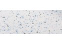 Materac z lateksem Hevea Baby Comfort 130x70 (Medica Szara) Materac z lateksem Hevea Baby Comfort 130x70 (Medica Szara)
