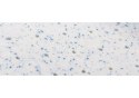 Materac z lateksem Hevea Baby Comfort 140x70 (Medica Szara) Materac z lateksem Hevea Baby Comfort 140x70 (Medica Szara)