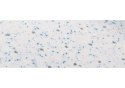 Materac z lateksem Hevea Baby Max 140x70 (Medica Szara) Materac z lateksem Hevea Baby Max 140x70 (Medica Szara)