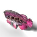Eugy Eugy Układanka Eko 3D Ryba Arowana Azjatycka Eugy Eugy Układanka Eko 3D Ryba Arowana Azjatycka