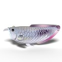 Eugy Eugy Układanka Eko 3D Ryba Arowana Srebrna Eugy Eugy Układanka Eko 3D Ryba Arowana Srebrna