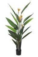 Kare Design KARE roślina dekoracyjna PARADISE FLOWERS 190 cm Kare Design KARE roślina dekoracyjna PARADISE FLOWERS 190 cm