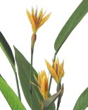 Kare Design KARE roślina dekoracyjna PARADISE FLOWERS 190 cm Kare Design KARE roślina dekoracyjna PARADISE FLOWERS 190 cm