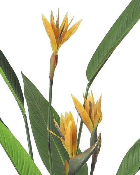 Kare Design KARE roślina dekoracyjna PARADISE FLOWERS 190 cm Kare Design KARE roślina dekoracyjna PARADISE FLOWERS 190 cm